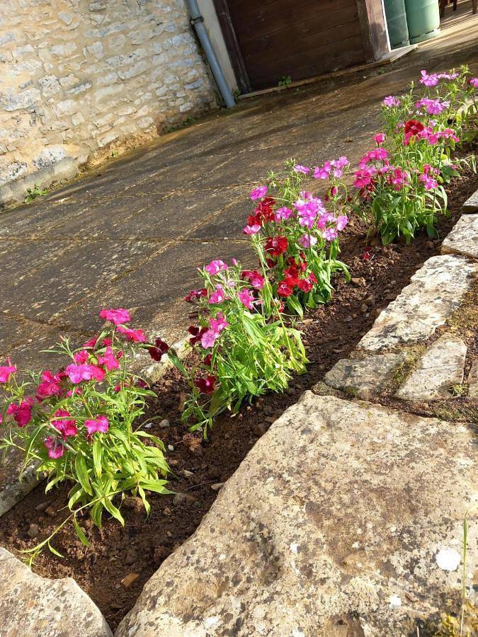 Location de vacances pour 7 personnes, avec piscine ainsi que jacuzzi et jardin à Dégagnac - 4