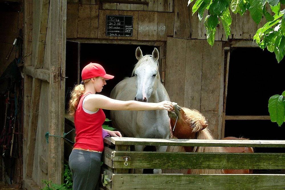 Holiday apartment in Lower Bavaria from £138 per night