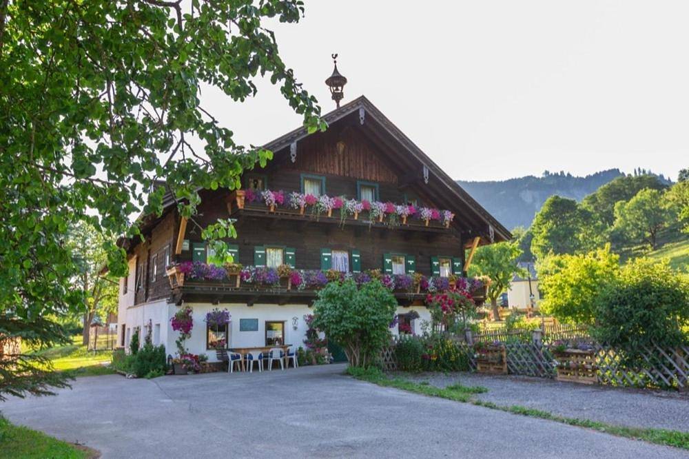 Holiday Home in Goldegg, Ski Amadé
