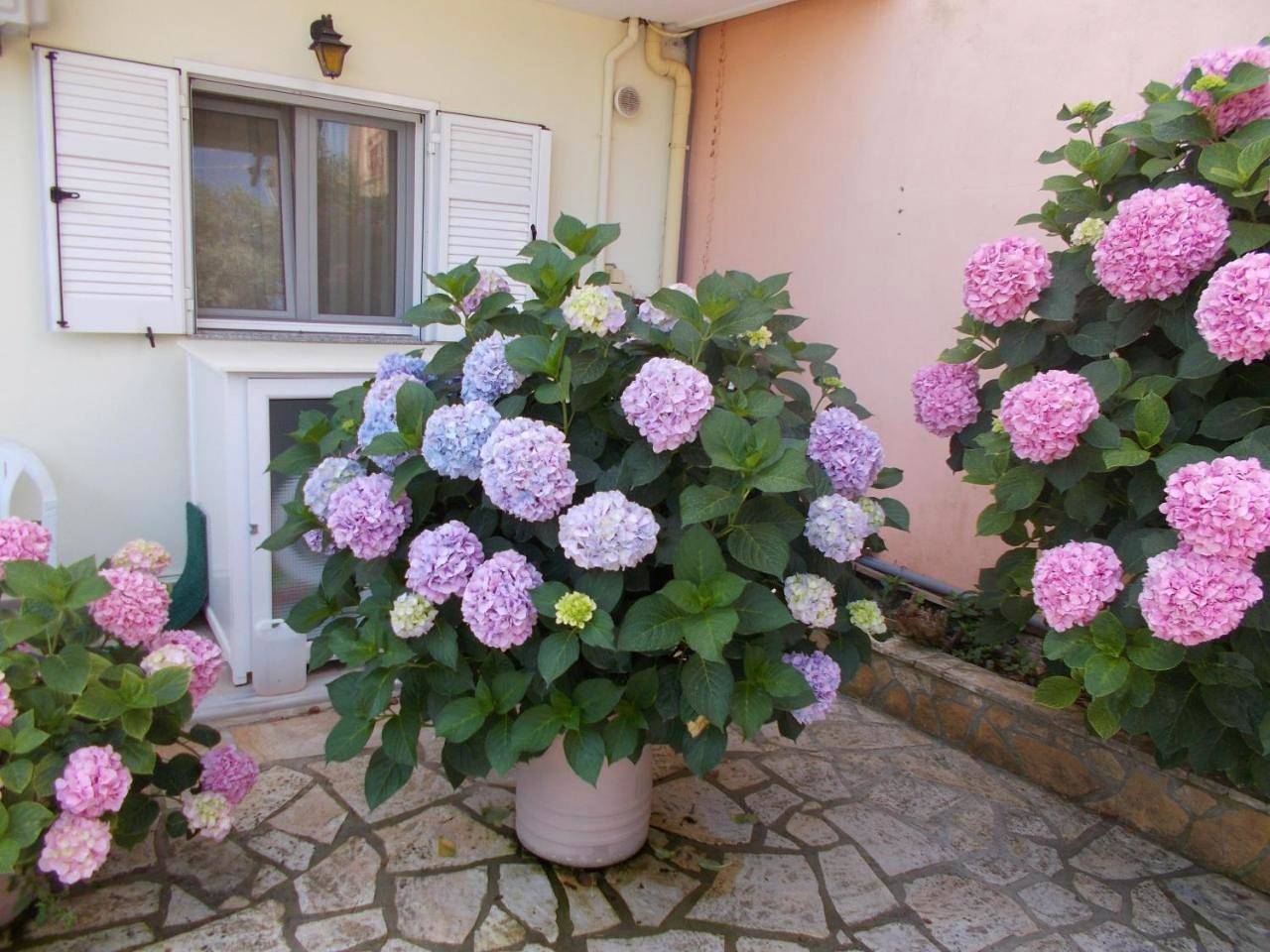 Pansion Filoxenia Apartments & Studios in Grèce