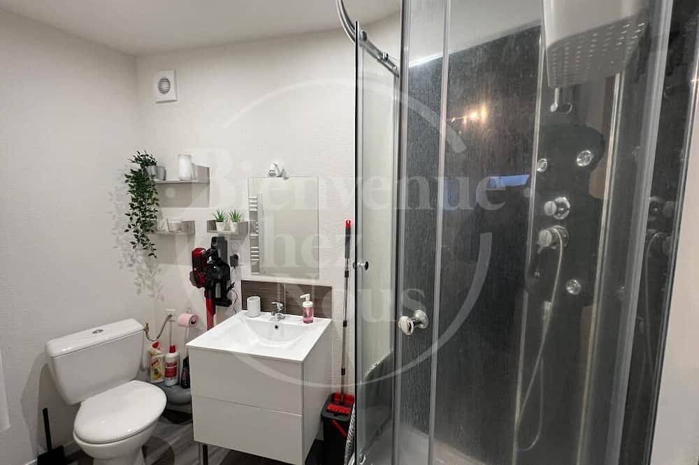 Entire apartment, Studio, Av. Marx Dormoy, fully equipped. (B) in Clermont-Ferrand, Volcans d'Auvergne Regional Nature Park