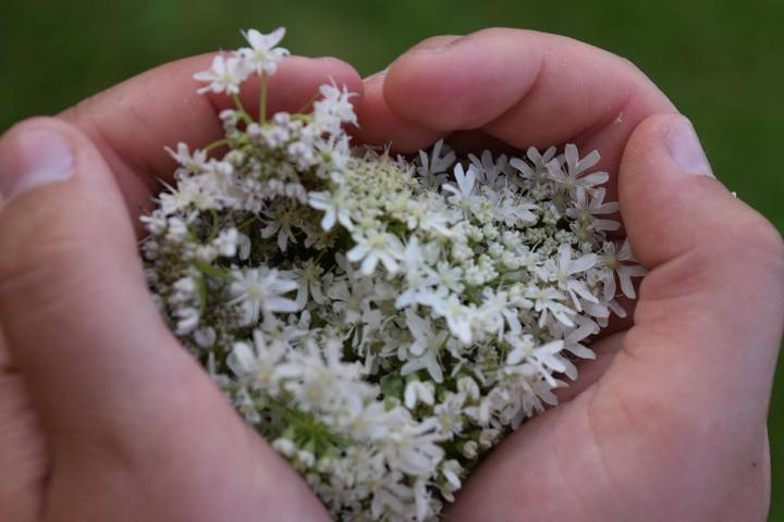 Ferienwohnung für 4 Personen, mit Terrasse und Garten, mit Haustier in Bad Wurzach - 4