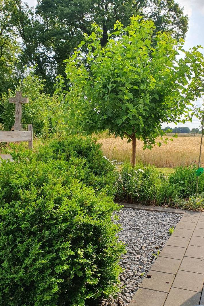Ferienwohnung für 3 Personen, mit Terrasse im Münsterland - 4