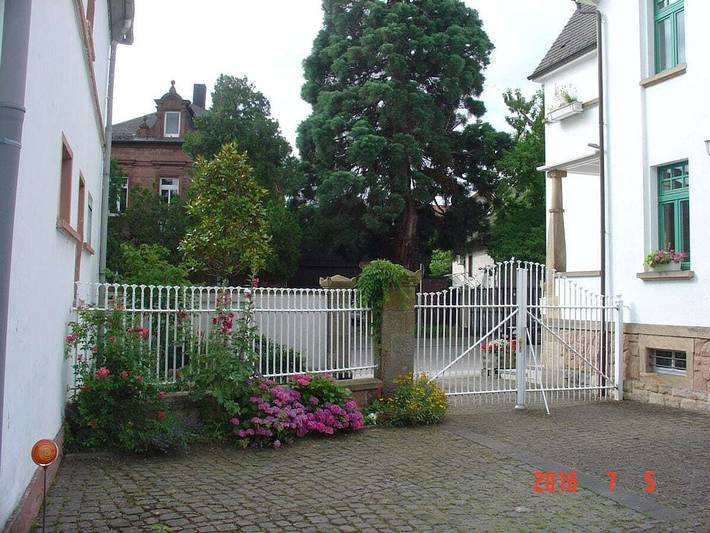 Ferienhaus für 3 Personen in Edenkoben - 2