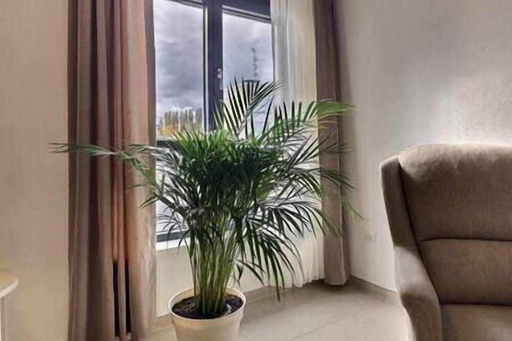 Ganze Wohnung, Ultra comfortable bright studio near the center of Basel in Sankt Ludwig, Mülhausen und Umgebung