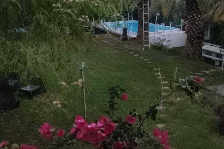 Landhaus von grünen Palmen Oleander,Olivenbäume und Weinbergen umgeben in Monsampolo del Tronto, Ascoli Piceno Provinz