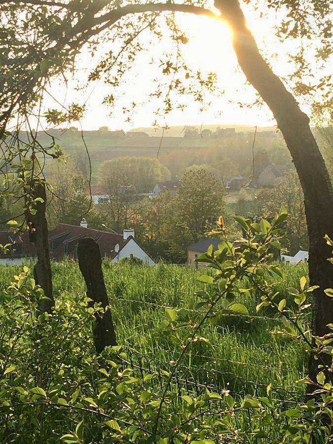 Gîte pour 2 personnes, avec jardin et vue à Flobecq - 4