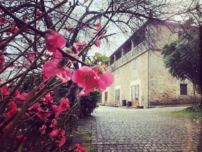 Casa rural para 2 personas, con terraza además de jardín y piscina en Provincia de Pontevedra - 3