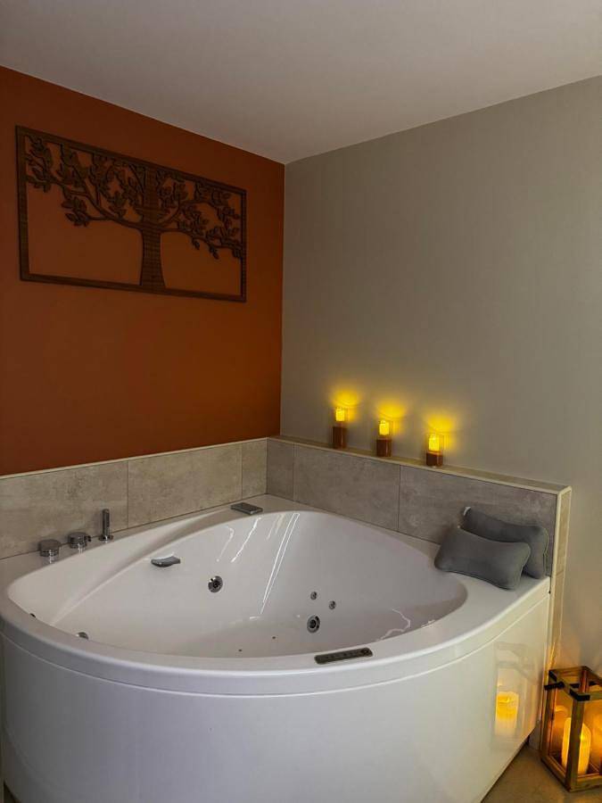 Location de vacances pour 2 personnes, avec piscine ainsi que jacuzzi et jardin dans Aÿ-Champagne - 2