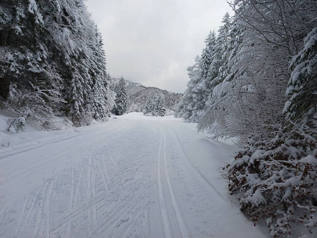 Ganze Ferienwohnung, Landhaus am Bergfeld - Ferienwohnung Traudl 65 m² in Sudelfeld, Bayrischzell