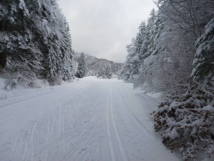 Ferienwohnung für 4 Personen, mit Garten und Ausblick sowie Balkon, kinderfreundlich im Wendelstein - 4