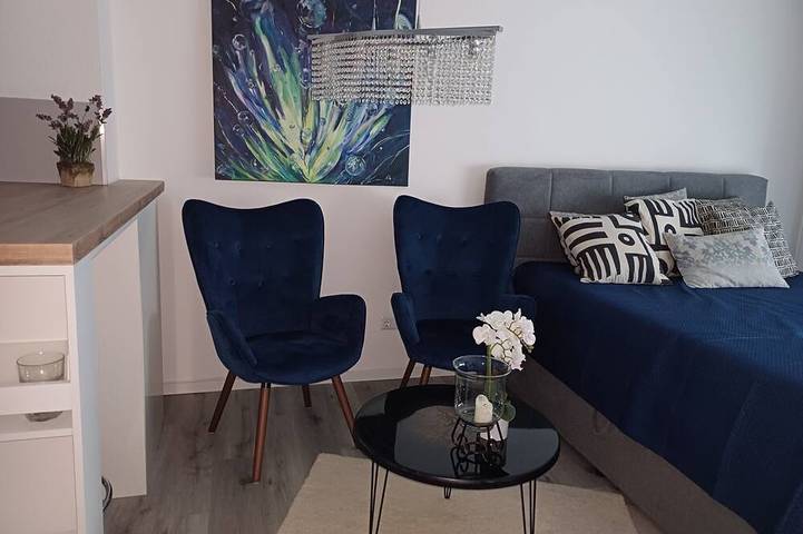 Ganze Wohnung, Wunderschönes 1 Zimmer Apartment in zentraler doch ruhiger Lage in Nürnberg, Franken