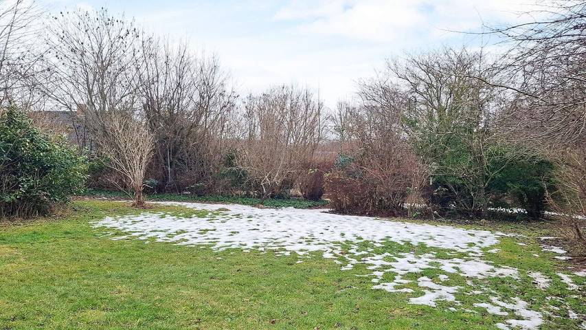 Ferienhaus für 7 Personen, mit Haustier auf Møn