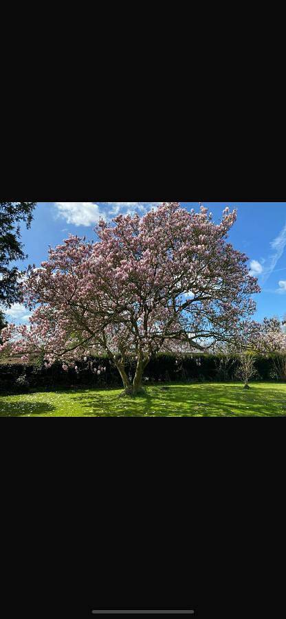 Location de vacances pour 4 personnes, avec vue et jardin, animaux acceptés à Lecelles - 3