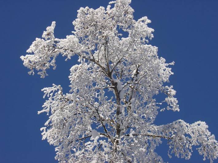 Bauernhaus für 4 Personen, mit Garten und Balkon, kinderfreundlich in Innsbruck und Umgebung - 2
