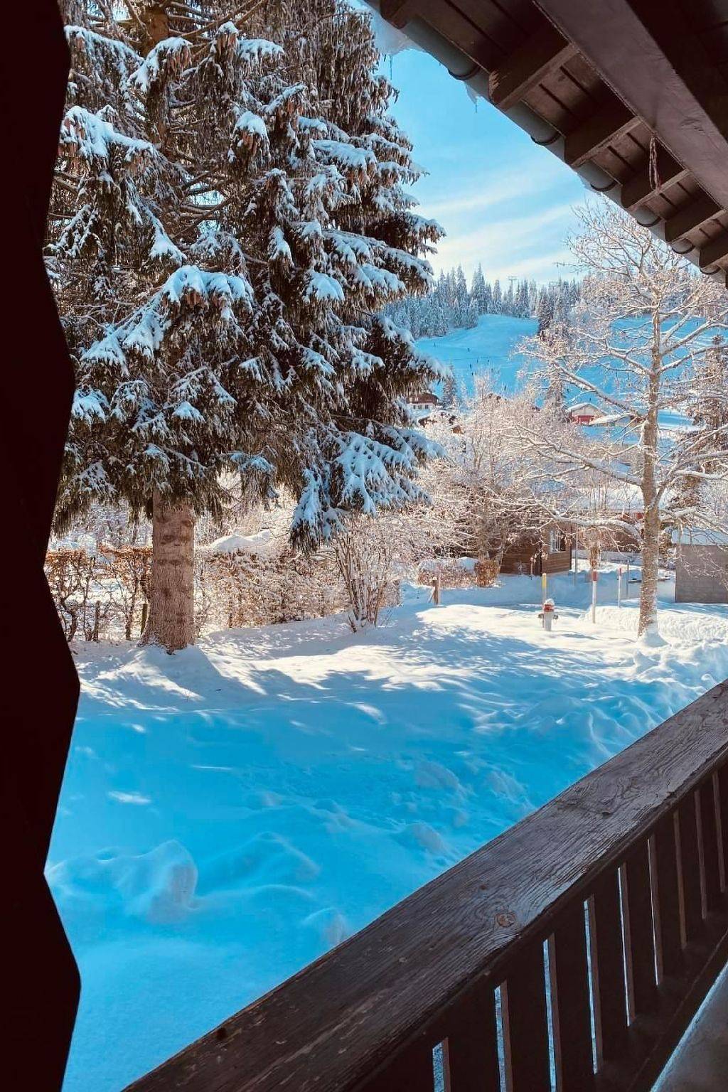 Ganze Wohnung, Chalet Bacchus (Eg) in Sörenberg, Flühli