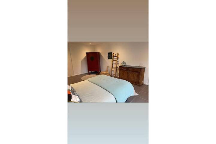 Location de vacances pour 6 personnes, avec jacuzzi et jardin à Chouzé-sur-Loire - 2