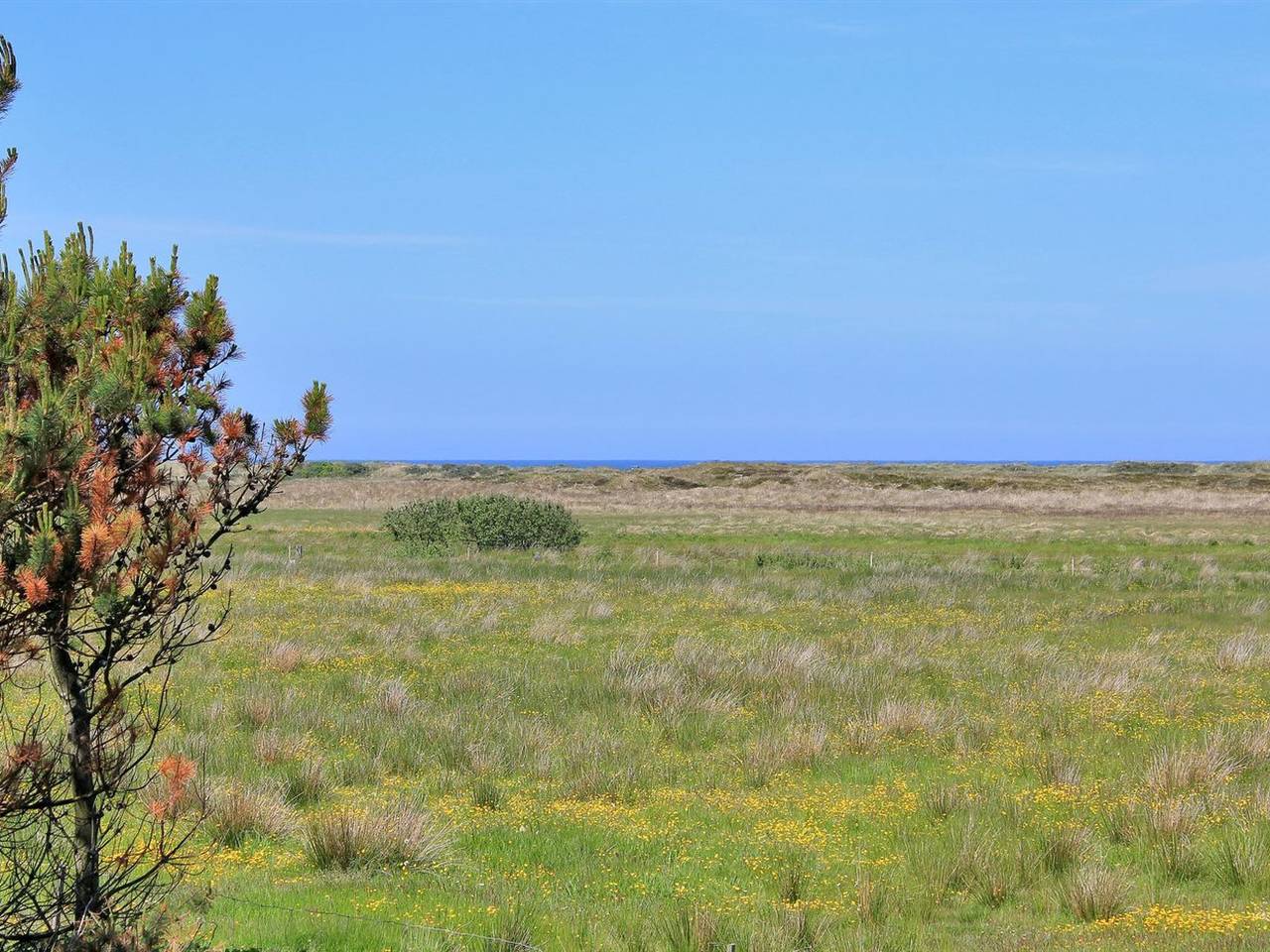 "Annick" - 300m from the sea in Thorup Strand, Jammerbugt