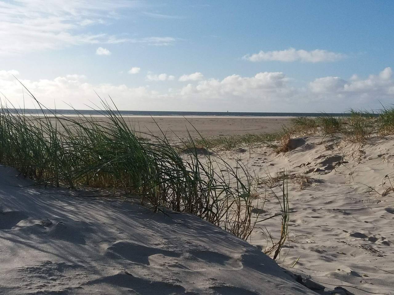Ganze Wohnung, 6 Personen Ferienhaus in Fanø in Nordby, Wadden Sea National Park