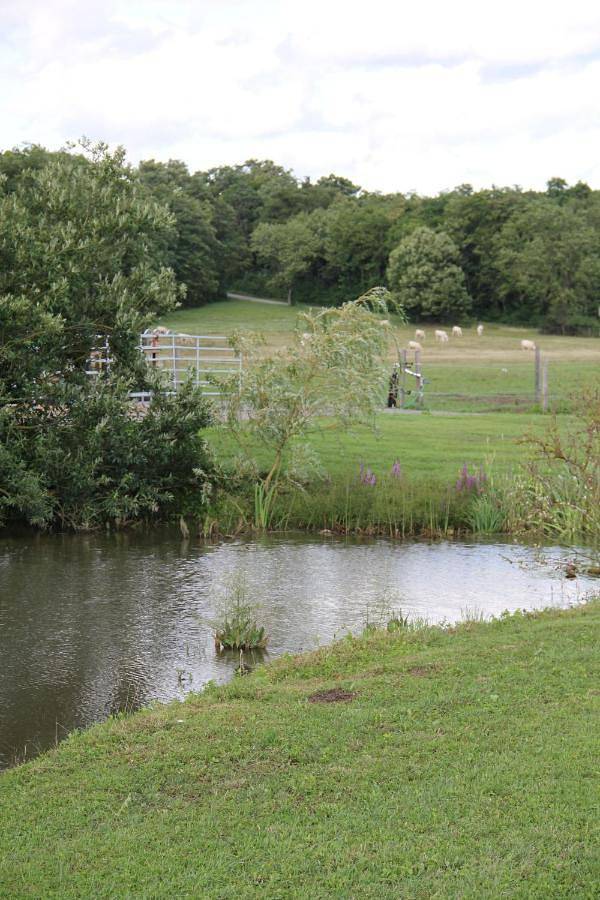 Ferienwohnung für 4 Personen, mit Garten und Ausblick in Iphofen - 4
