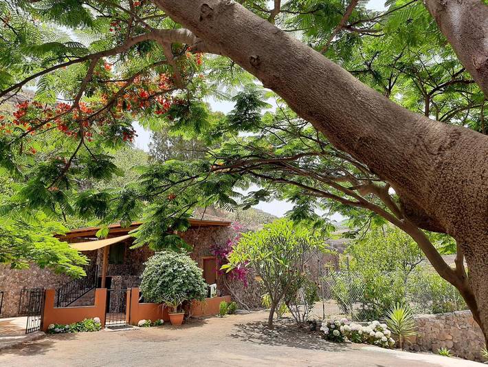 Casa rural para 4 personas, con Jardín en Valsequillo de Gran Canaria - 4