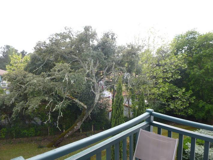 Gîte pour 4 personnes, avec balcon et jardin à Arcachon - 3