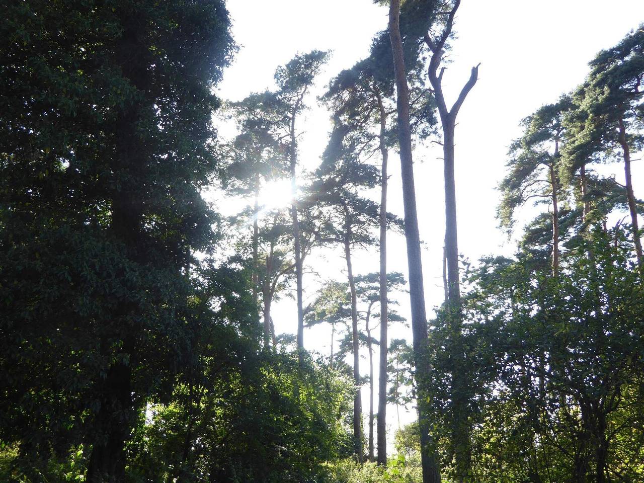 Ganze Wohnung, 4 Personen Ferienhaus in Bogense-By Traum in Bogense, Kleiner Belt