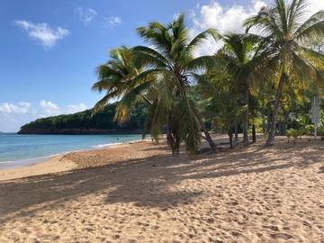 Gîte pour 4 personnes, avec vue et jardin dans Plage de la Perle