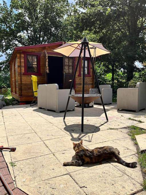 Chalet pour 2 personnes, avec jardin et terrasse, animaux acceptés en Ille-et-Vilaine - 4