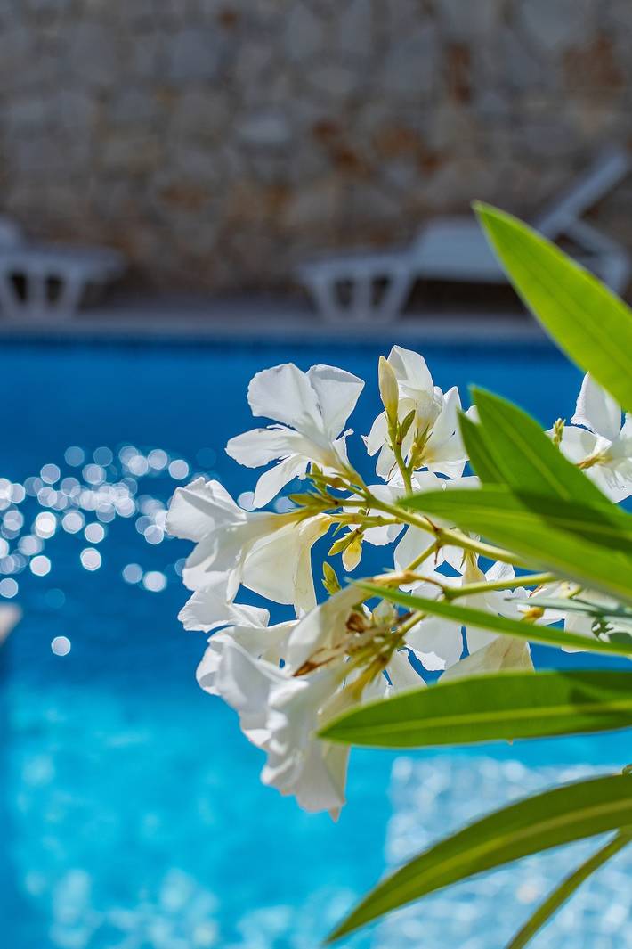 Ferienwohnung für 3 Personen, mit Pool und Sauna sowie Balkon/Terrasse in Novi Vinodolski - 4