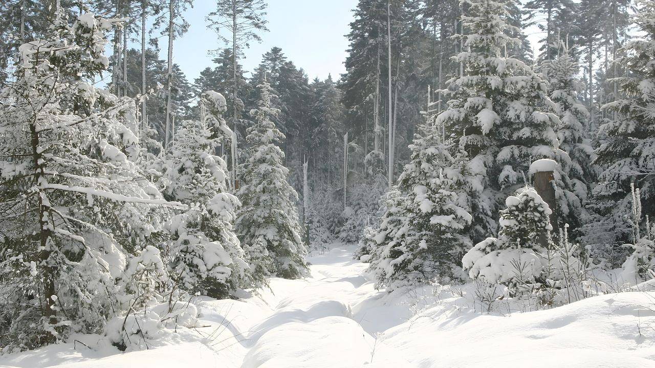 Mehrbettzimmer für 3 Personen in Pfalzgrafenweiler in Pfalzgrafenweiler, Nordschwarzwald