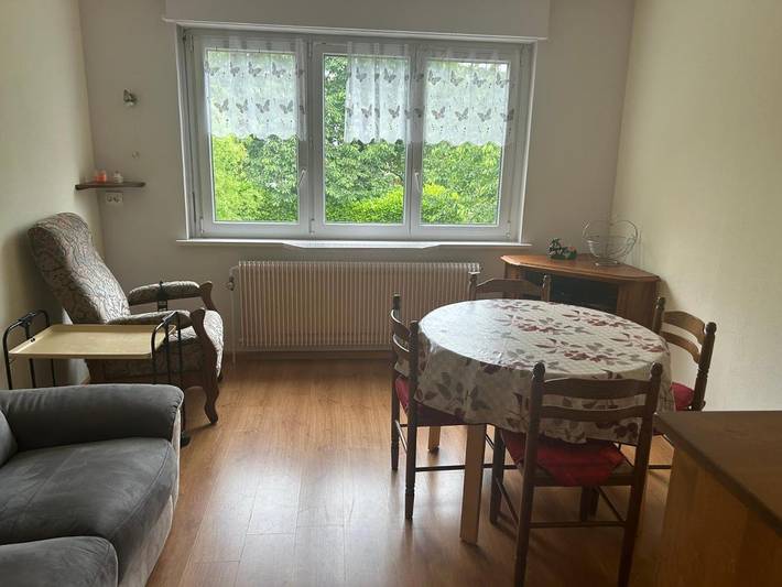 Location de vacances pour 4 personnes, avec vue et jardin à Altkirch - 4