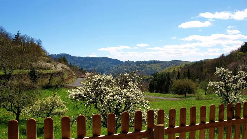 Location de vacances pour 8 personnes, avec jardin à Saint-Privat-d'Allier - 3