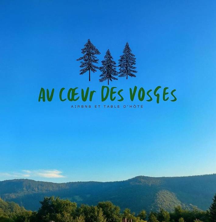 Gîte pour 4 personnes, avec jacuzzi ainsi que sauna et balcon à Thiéfosse - 4