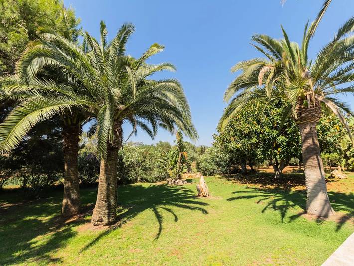 Finca für 8 Personen, mit Balkon und Terrasse sowie Garten und Pool in Calonge (Mallorca) - 4