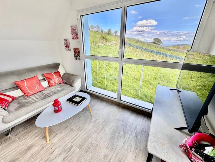 Location de vacances pour 4 personnes, avec terrasse et vue, animaux acceptés à Reichsfeld - 3