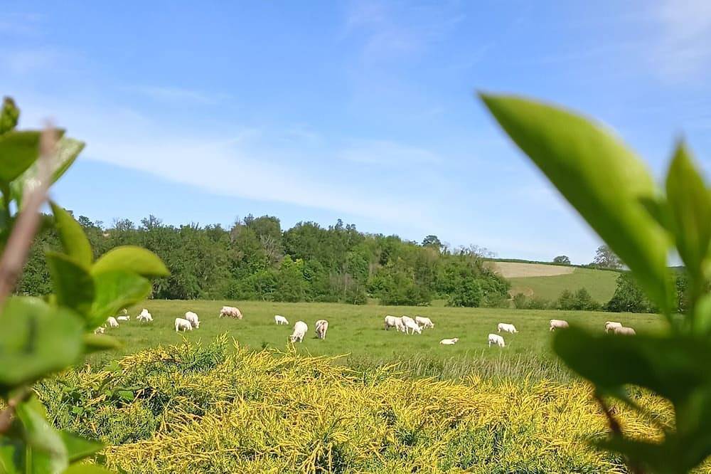 Ganze Wohnung, Gîte des Palmiers, à Ameugny - Taizé in Ameugny, Mâcon und Umgebung