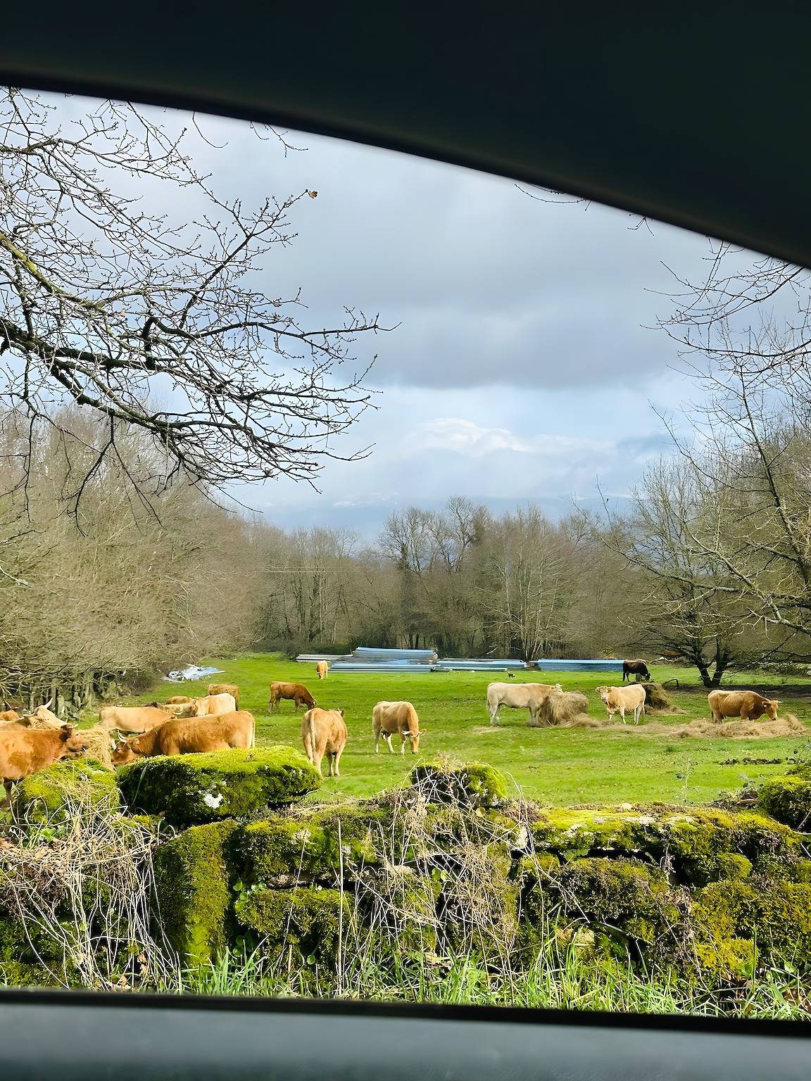 Apartamento inteiro, Apartamento 'Familia Froufe 3' com vista para a montanha, piscina e Wi-Fi in Baños de Molgas, Ourense Região