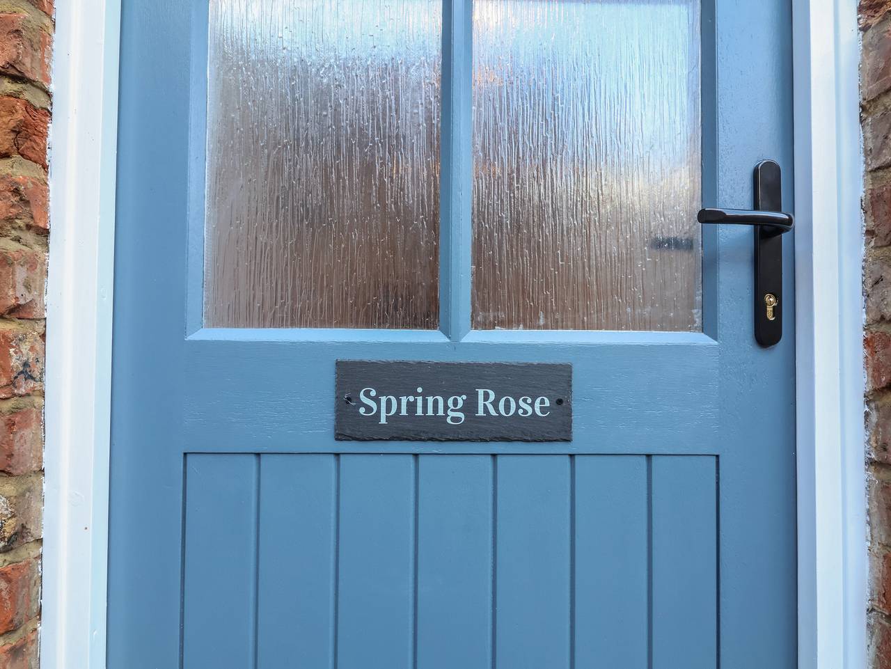 Spring Rose in Bedale, North Yorkshire
