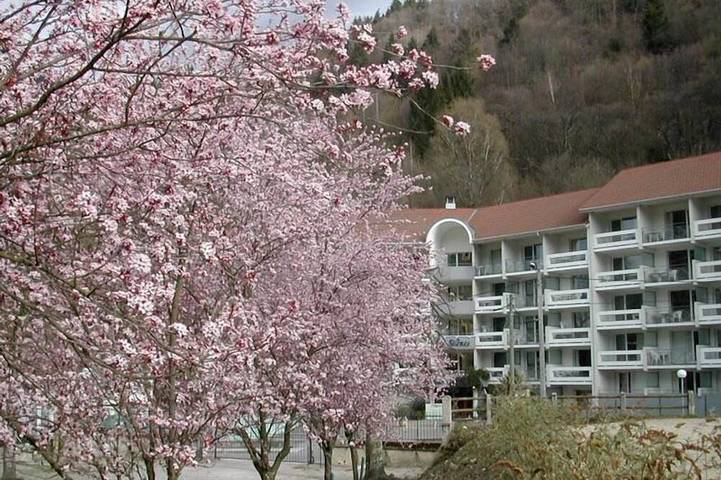 Ganze Wohnung, Wifi, terrasse, parkmöglichkeiten, fernseher, schließfach für die skier, 29m², Le Collet d'Allevard in Allevard, Isère