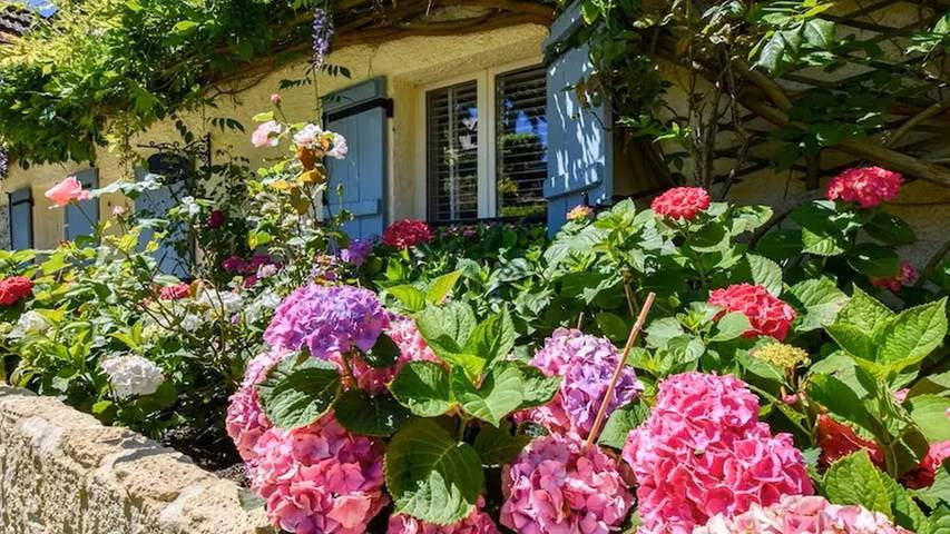 Location de vacances pour 5 personnes, avec piscine et jardin, animaux acceptés à Villefranche-du-Périgord - 3