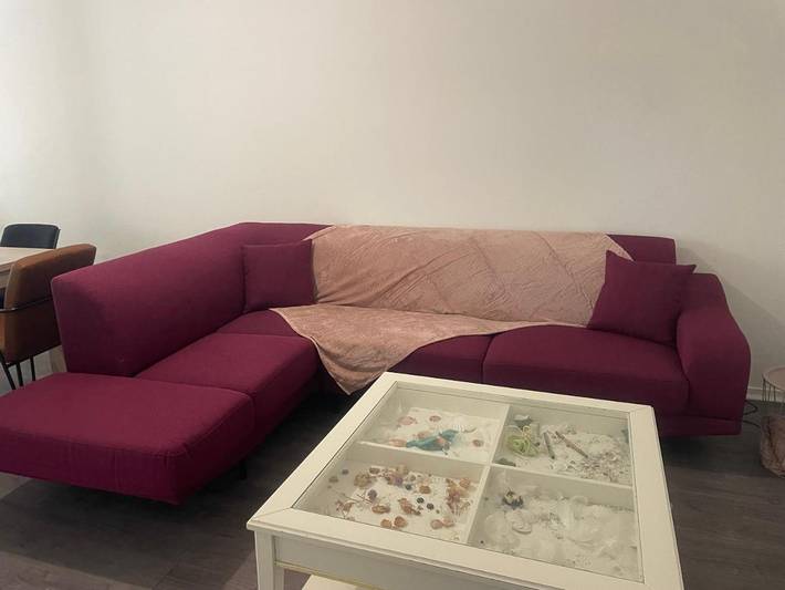 Gîte pour 7 personnes, avec terrasse et vue, animaux acceptés à Villeneuve-d'Ascq - 3