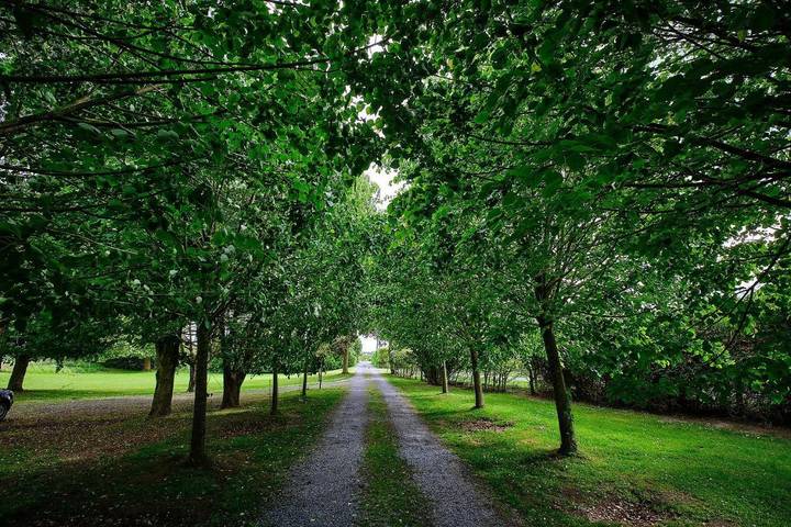 Chambre d’hôte pour 4 personnes, avec terrasse ainsi que vue et jardin dans Hainaut - 3