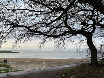 Ferienhaus für 10 Personen, mit Terrasse, mit Haustier in Dangast