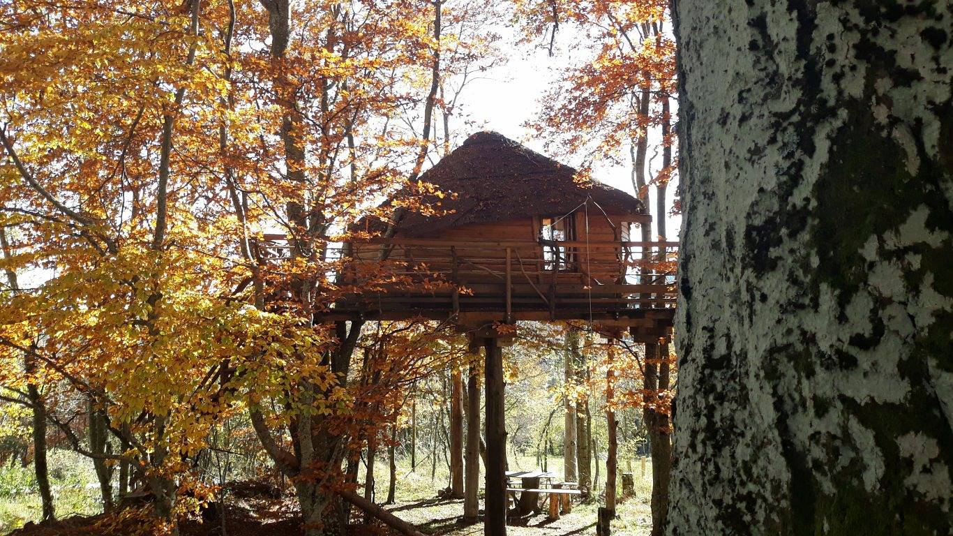 La Cabane des Fayards in Saint-Agrève, Parc naturel régional des Monts d'Ardèche