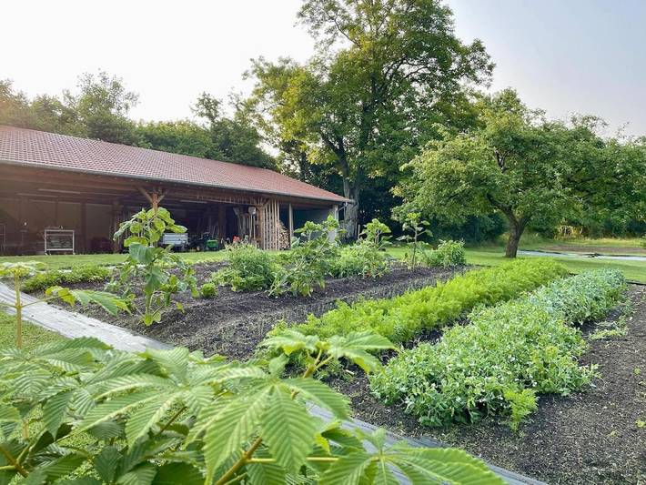 Chambre d’hôte pour 3 personnes, avec vue ainsi que jardin et vue sur le lac, adapté aux familles dans Sarreguemines - 3