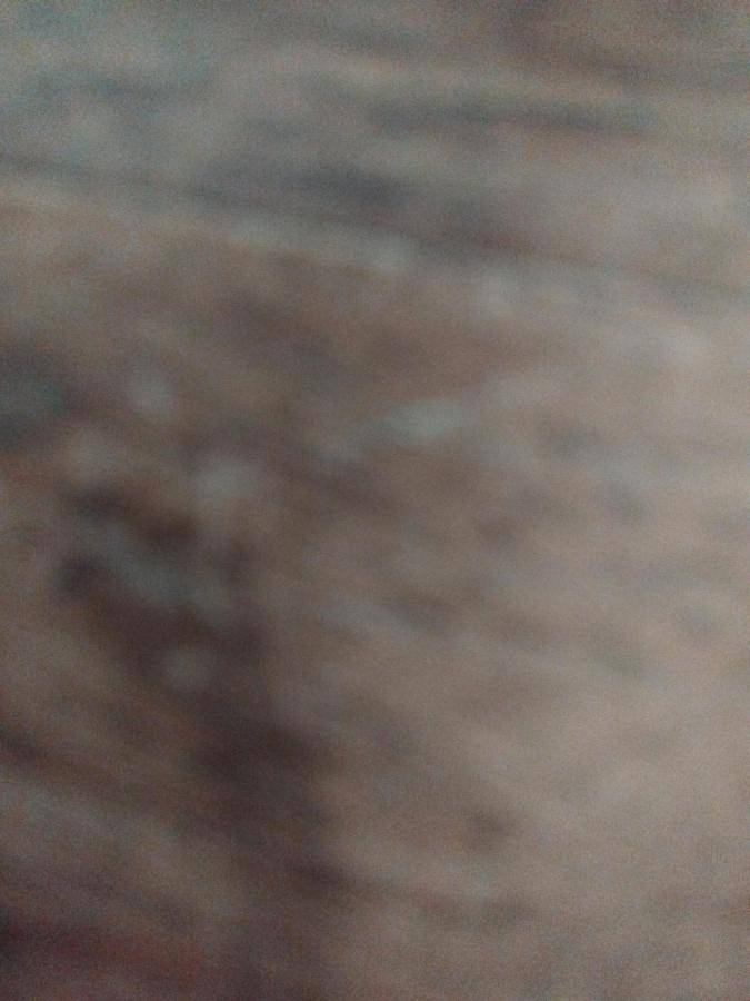 Gîte pour 7 personnes, avec balcon ainsi que vue et piscine, animaux acceptés dans Gouffre De Saoule Mauleon Barousse - 3