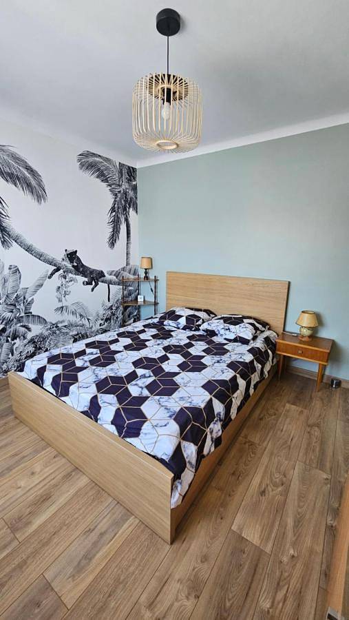 Location de vacances pour 6 personnes, avec jardin, animaux acceptés à Saint-Estève - 3