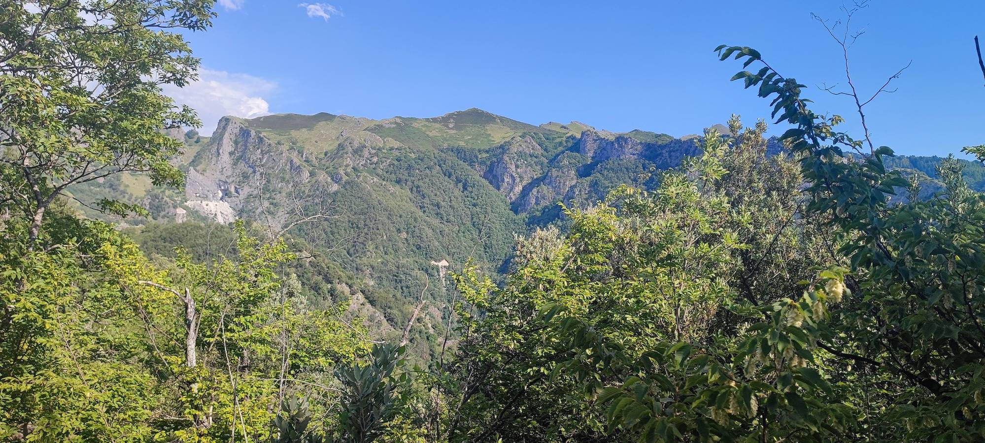 Villa 'Ilde' mit privater Terrasse und privatem Garten in Massa, Versilia