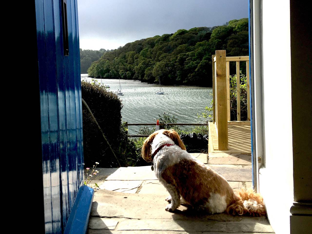 Cottage für 3 Personen in Cornwall